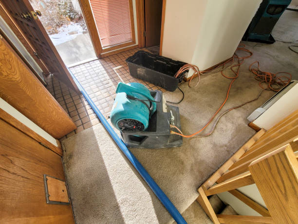 Water damage restoration experts in NY