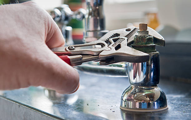 Best Mold removal after water damage  in Gowanda, NY