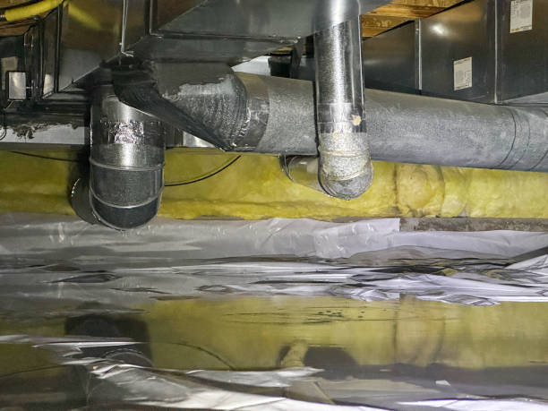 Best Water damage cleanup near me  in Gowanda, NY
