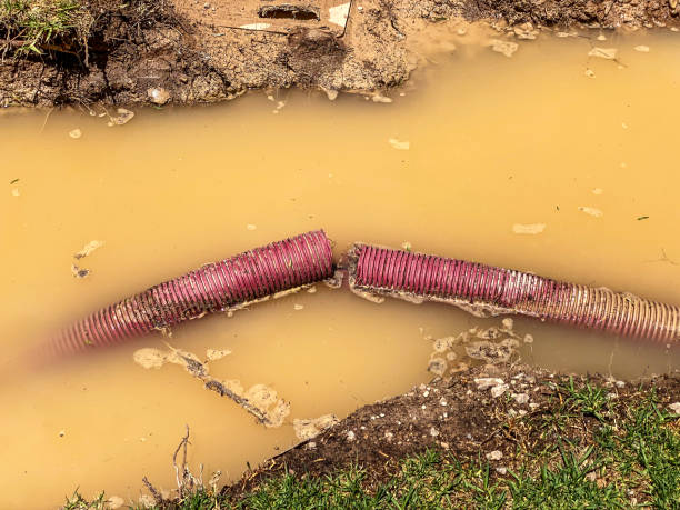 Best Commercial water damage restoration  in Gowanda, NY
